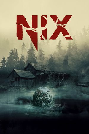 Nix's poster