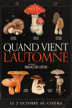 When Fall Is Coming's poster