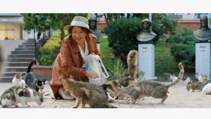 Some Cats of the Neighborhood's poster