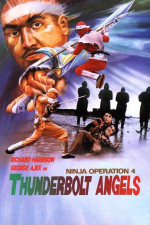 Ninja Powerforce's poster
