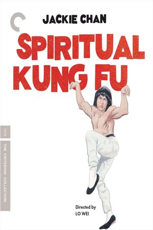 Spiritual Kung Fu's poster
