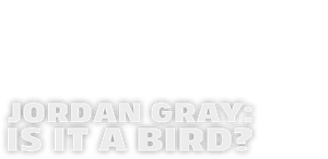 Jordan Gray: Is It A Bird?'s poster