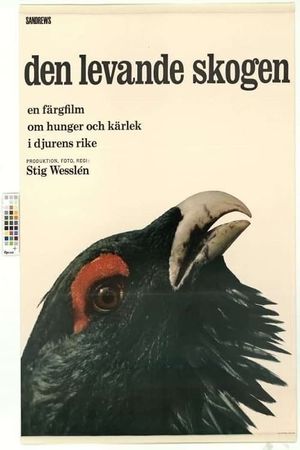 Den levande skogen's poster