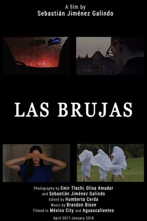 Las brujas's poster