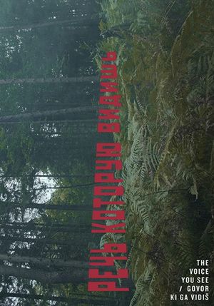 The Voice You See's poster