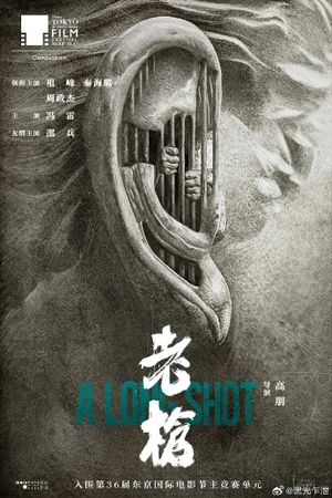 A Long Shot's poster