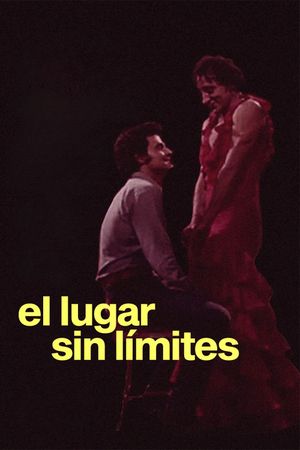 The Place Without Limits's poster