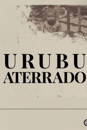 Urubu aterrado's poster