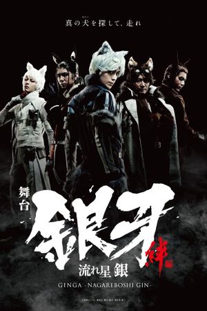 Ginga -Nagareboshi Gin- Kizuna Hen (The Ties of Friendship)'s poster
