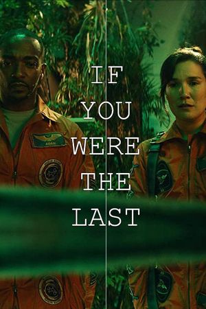 If You Were the Last's poster