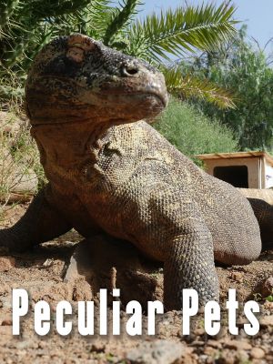 Peculiar Pets's poster image