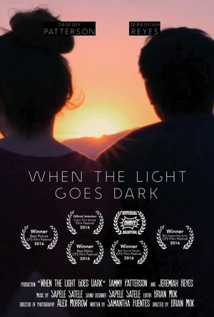 When the Light Goes Dark's poster