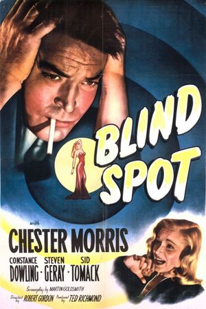 Blind Spot's poster