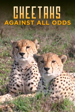 Cheetahs Against All Odds's poster