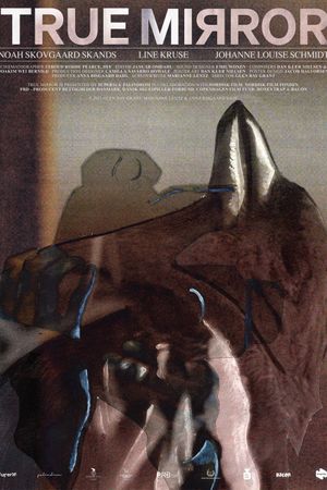 True Mirror's poster