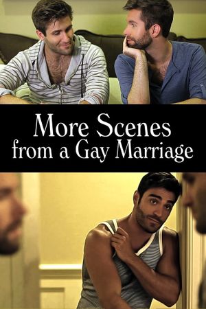 More Scenes from a Gay Marriage's poster