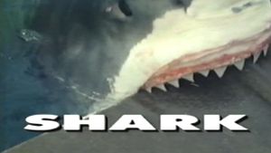 Predators of the Wild: Shark's poster