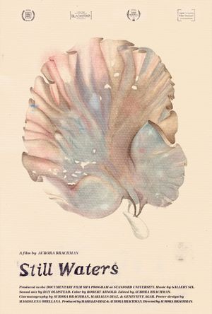 Still Waters's poster