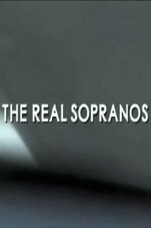 The Real Sopranos's poster