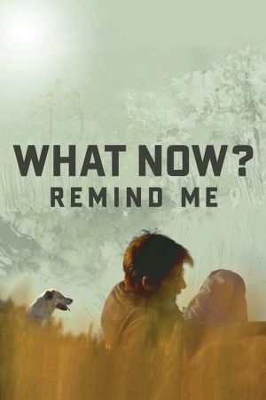 What Now? Remind Me's poster