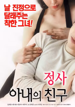 An Affair: My Wife's Friend's poster