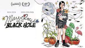 Marvelous and the Black Hole's poster