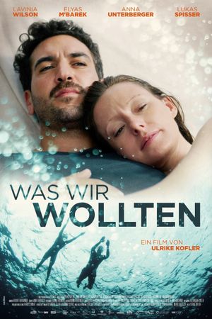 What We Wanted's poster