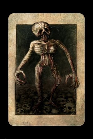 Tarot's poster