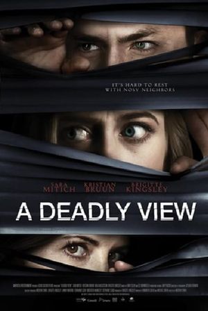 The Baby Stealer's poster