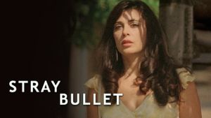 Stray Bullet's poster