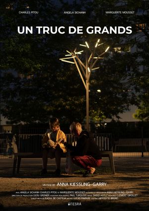 Un truc de grands's poster