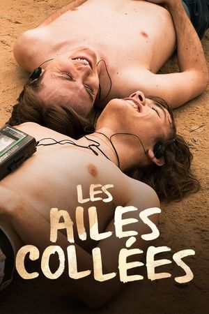 Les ailes collées's poster
