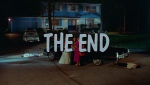 Polyester's poster