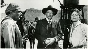 Wanted: The Sundance Woman's poster