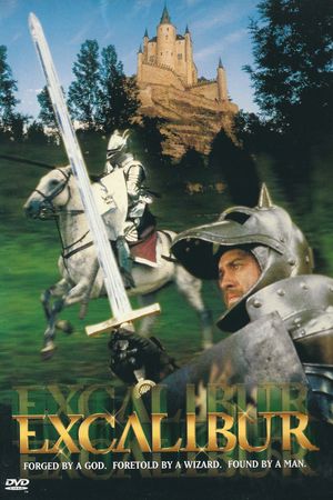 Excalibur's poster