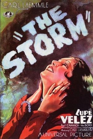 The Storm's poster
