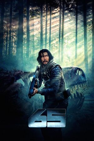 65's poster