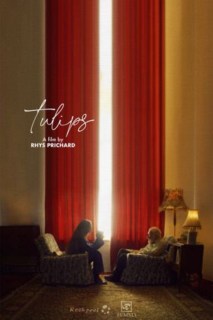 Tulips's poster