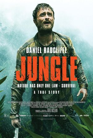 Jungle's poster