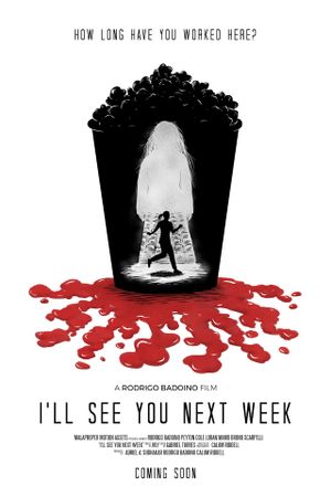 I’ll See You Next Week's poster