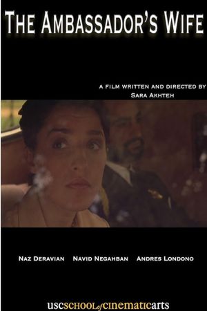 The Ambassador's Wife's poster