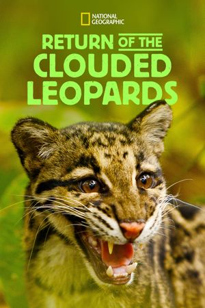 Return of the Clouded Leopards's poster