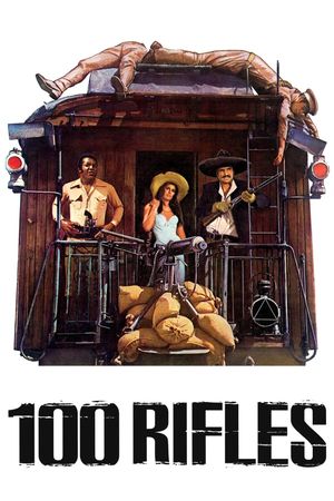 100 Rifles's poster