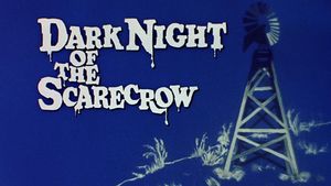 Dark Night of the Scarecrow's poster