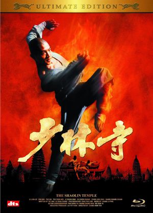 The Shaolin Temple's poster