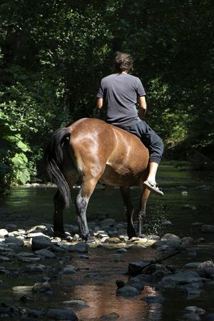 The Boy from the River Drina's poster
