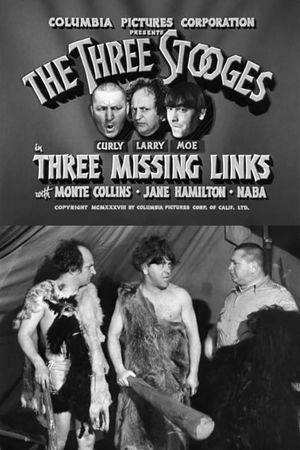 Three Missing Links's poster