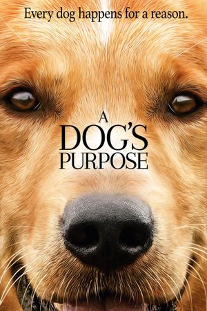 A Dog's Purpose's poster