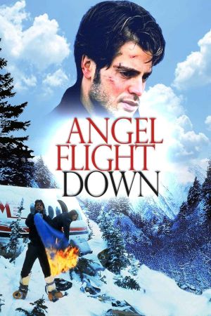 Angel Flight Down's poster