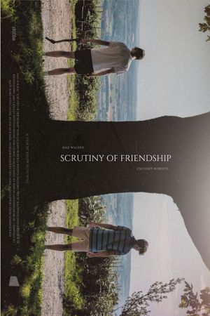 Scurtiny of Friendship's poster